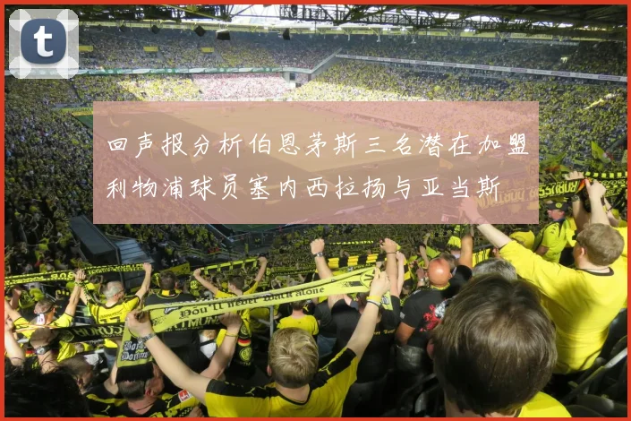 回声报分析伯恩茅斯三名潜在加盟利物浦球员塞内西拉扬与亚当斯